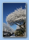 [Click to enlarge image]